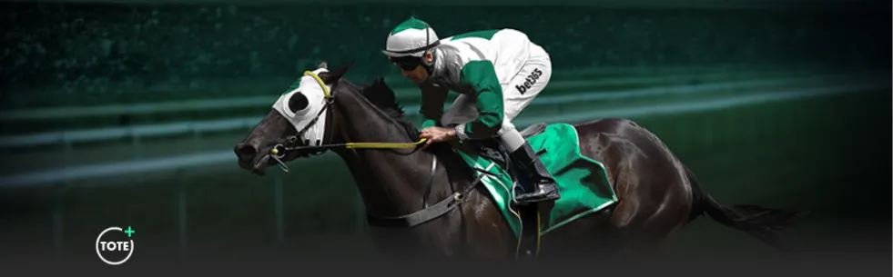 哈兰德梅开,二度,基米希读秒,MK体育,MK体育官网,MK体育平台,MK体育集团,MK体育集团